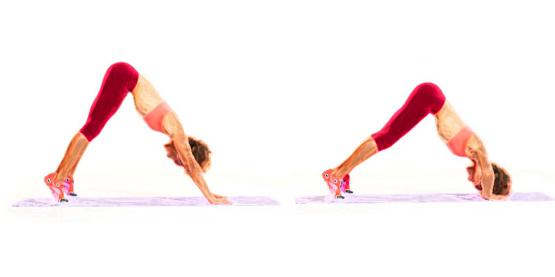 Imagen de flexiones en pica